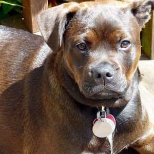 Meet your Posher, Nancy